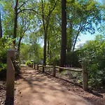 Forest Voor 4 Personen I De Heimolen Chalet