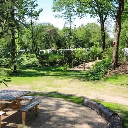 Forest Voor 4 Personen I De Heimolen Chalet *