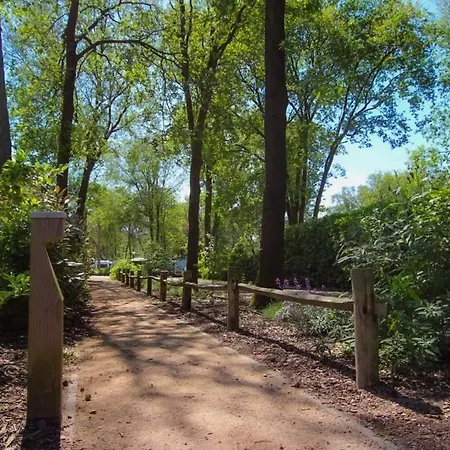 Forest Voor 4 Personen I De Heimolen Chalet