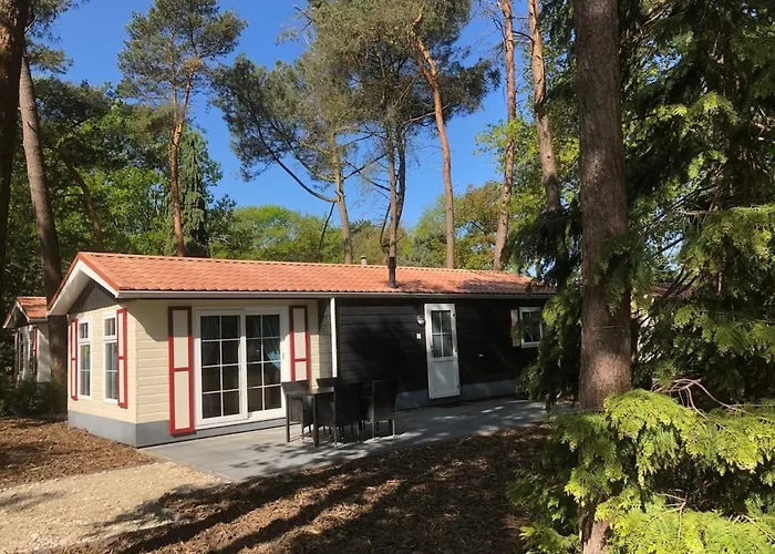 Forest Voor 4 Personen I De Heimolen Chalet