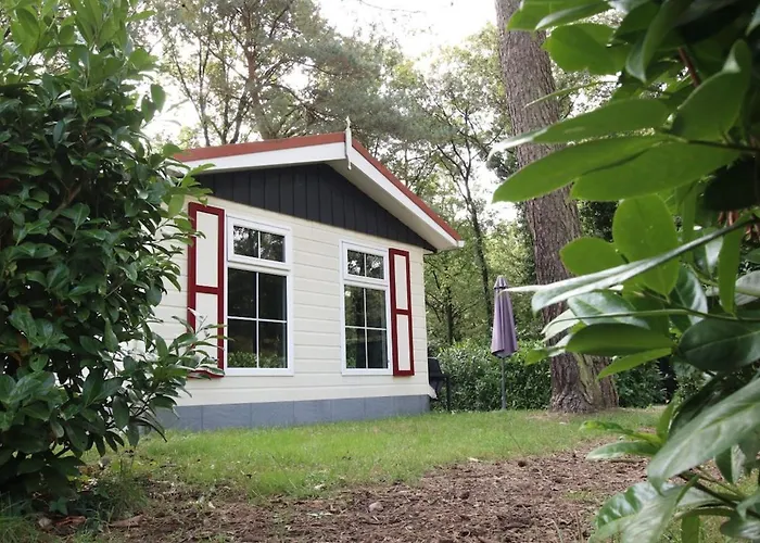 Forest Voor 4 Personen I De Heimolen *