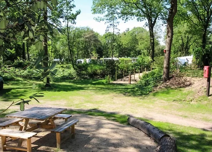 Forest Voor 4 Personen I De Heimolen Chalet *