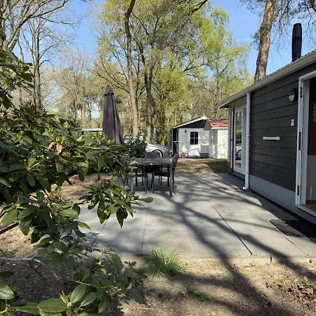 Forest Voor 4 Personen I De Heimolen Baarle-Nassau